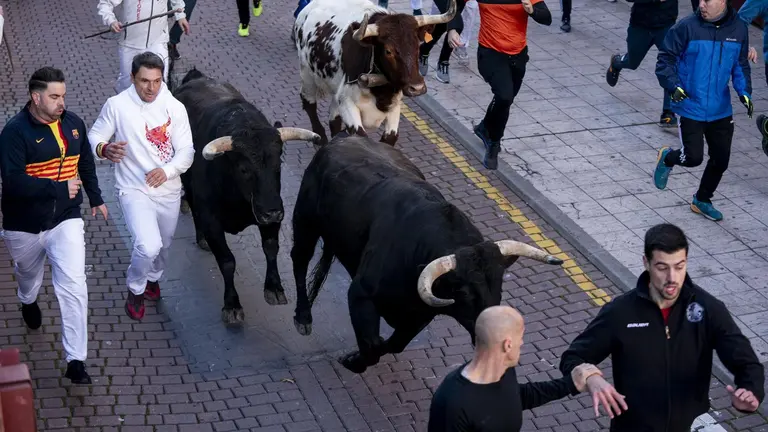 Los corredores junto a los toros durante el primer d&iacute;a de los &lsquo;encierros blancos&rsquo; de San Sebasti&aacute;n de los Reyes, a 20 de enero de 2024, en San Sebasti&aacute;n de los Reyes, Madrid (Espa&ntilde;a). - A. P&eacute;rez Meca - Europa Press