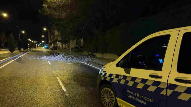 Restos del &aacute;rbol ca&iacute;do sobre la calzada por el fuerte viento. POLIC&Iacute;A MUNICIPAL DE PAMPLONA