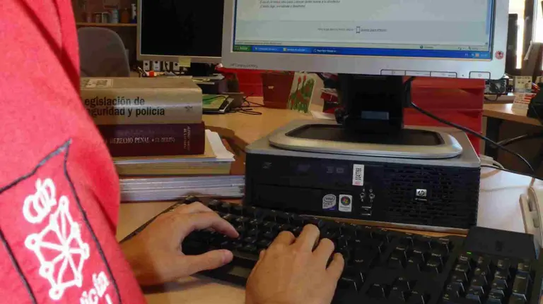 Un agente de la Unidad de Delitos Informáticos de la Policía Foral. POLICÍA FORAL