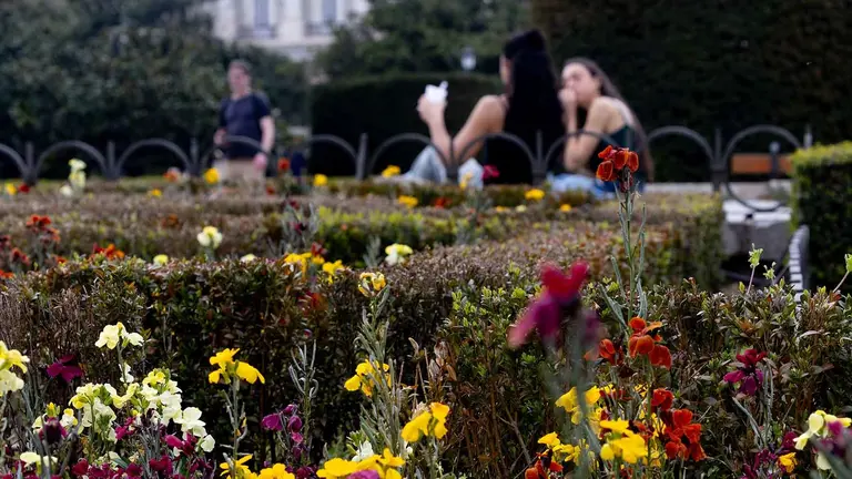 Flores durante el primer d&iacute;a de primavera, a 20 de marzo de 2024, en Madrid (Espa&ntilde;a). La primavera ha comenzado hoy, 20 de marzo, en el hemisferio norte y durar&aacute; aproximadamente 92 d&iacute;as y 18 horas, terminando el 20 de junio con el comienzo del verano. Este invierno ha sido el m&aacute;s c&aacute;lido en Espa&ntilde;a desde la serie hist&oacute;rica y seg&uacute;n los pron&oacute;sticos de la Agencia Estatal de Meteorolog&iacute;a (Aemet) se espera una primavera m&aacute;s calurosa de lo normal. El cambio de hora, el &uacute;ltimo del mes de marzo, contribuye a que los d&iacute;as sean m&aacute;s largos.
20 MARZO 2024;PRIMAVERA;CALOR;TEMPERATURA;ESTACI&Oacute;N
Eduardo Parra / Europa Press
20/3/2024