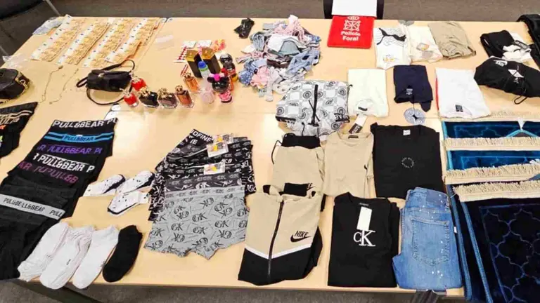 Dinero y efectos intervenidos a la banda de ladrones. POLIC&Iacute;A FORAL