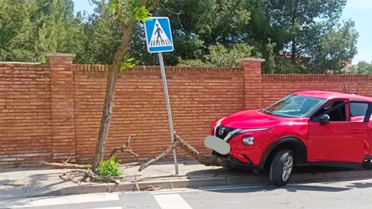 El veh&iacute;culo qued&oacute; sobre la acera tras partir el &aacute;rbol en la calle Virgen de la Cabeza de Tudela. POLIC&Iacute;A LOCAL DE TUDELA