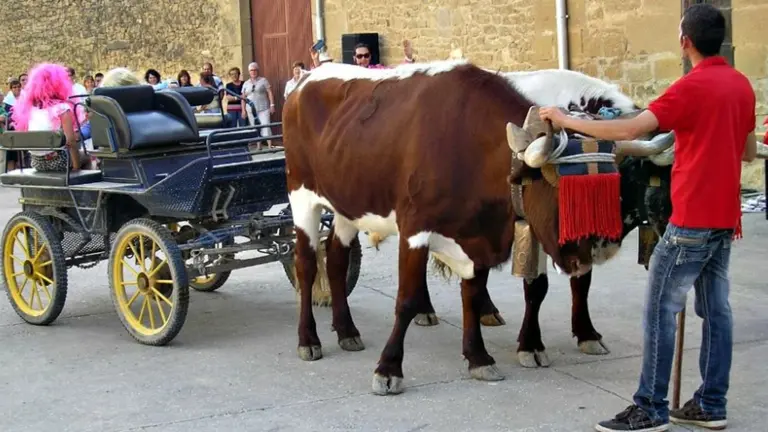 Pitillas celebra la Fiesta del Agua este domingo 26 de mayo. ARCHIVO