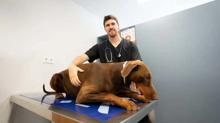 Saúl, un joven emprendedor que ha abierto la clínica Servicios Veterinarios Chueca en Murchante. CEDIDA