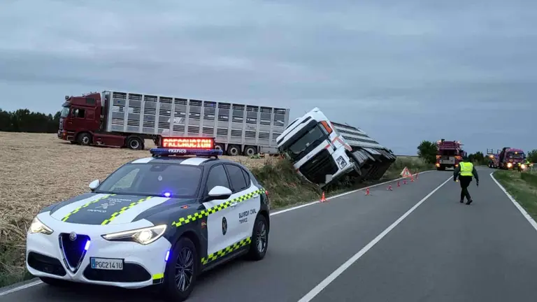 El cami&oacute;n cargado de cerdos ha quedado semivolcado en la cuneta. GUARDIA CIVIL
