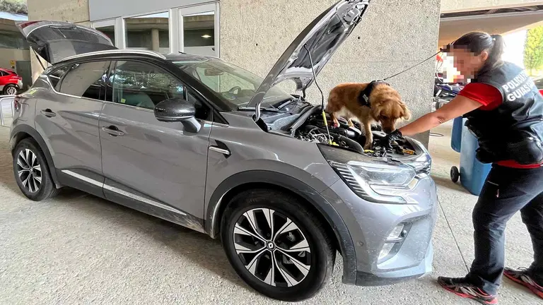 Turismo robado en Alfaro y recuperado, siendo inspeccionado por guía canino. POLICÍA FORAL