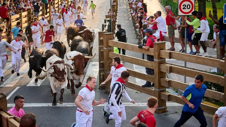 Tercer encierro de las fiestas de Tudela con toros de la ganadería de José Luis Cuartero. PABLO LASAOSA