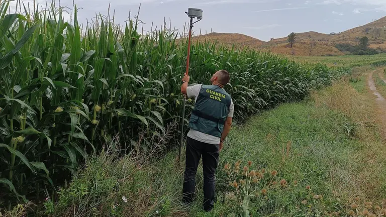 Imagen de las labores de investigación de la Guardia Civil de Navarra - GUARDIA CIVIL DE NAVARRA