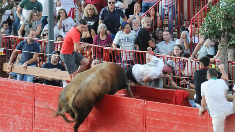 Momento en el que uno toro salta la barrera y accede al callej&oacute;n en Caparroso. AMAYA LUQUI