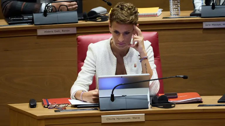 Pleno del Parlamento de Navarra. I&Ntilde;IGO ALZUGARAY