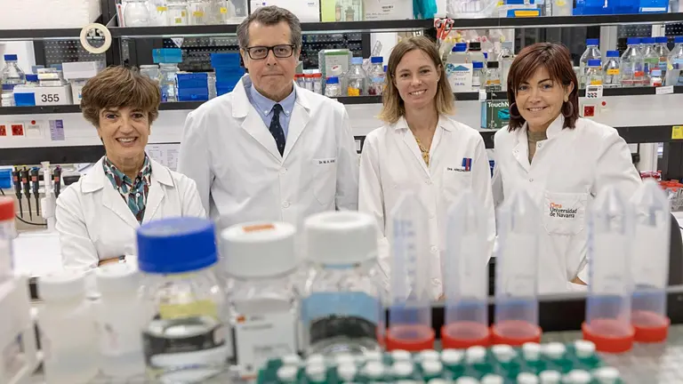 Carmen Berasain, Mat&iacute;as &Aacute;vila, Mar&iacute;a Arechederra y Maite Garc&iacute;a, equipo investigador del Grupo de Hepatolog&iacute;a del Cima Universidad de Navarra. UNIVERSIDAD DE NAVARRA