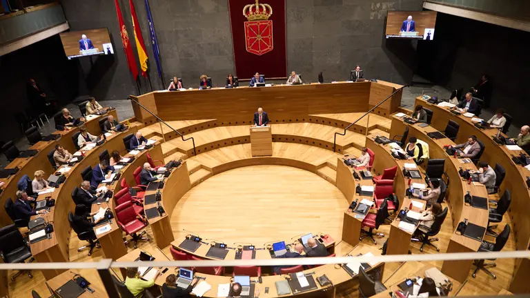 Pleno del Parlamento de Navarra. I&Ntilde;IGO ALZUGARAY