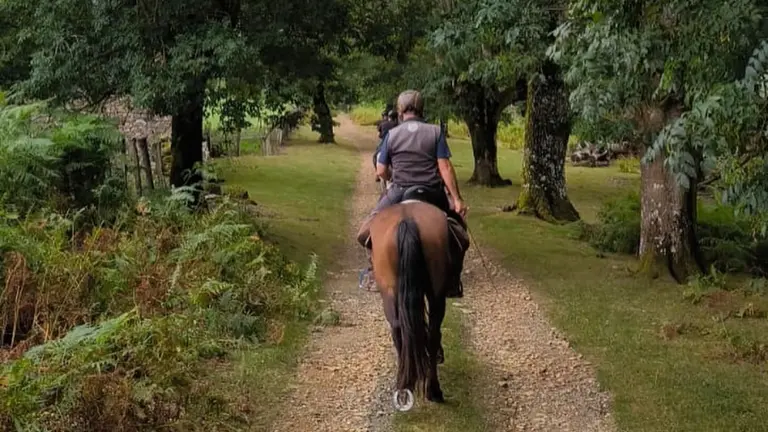 Imagen de archivo de una excursión a caballo desde la hípica de Ordoki. HÍPICA ORDOKI