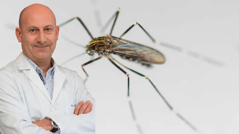 Fotmontaje del investigador de la Universidad de Navarra Enrique Baquero sobre una imagen del mosquito. NAVARRA.COM