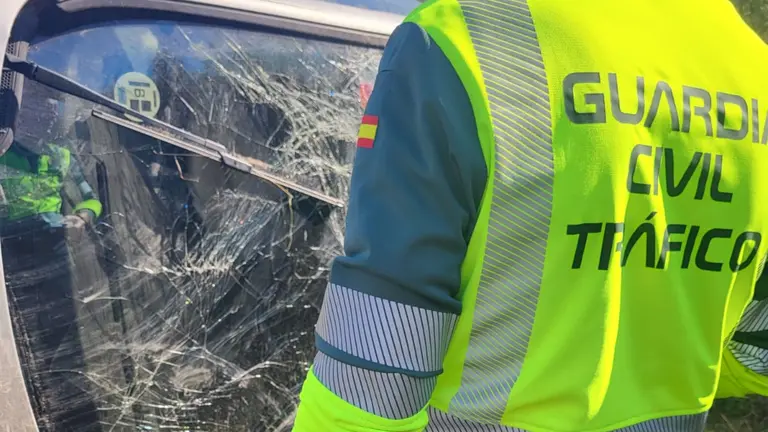 Un guardia civil junto a la luna rota del coche accidentado en Viana. GUARDIA CIVIL