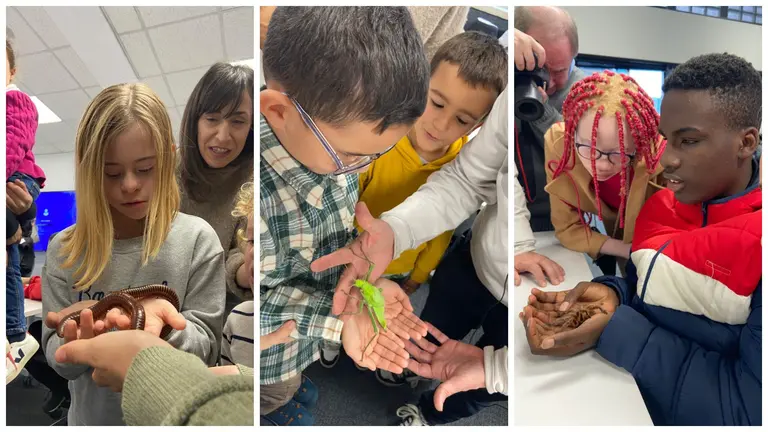 Varios ni&ntilde;os ciegos cogen diferentes insectos. CEDIDA