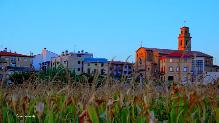 El pueblo de Murchante. Thomas Watorski