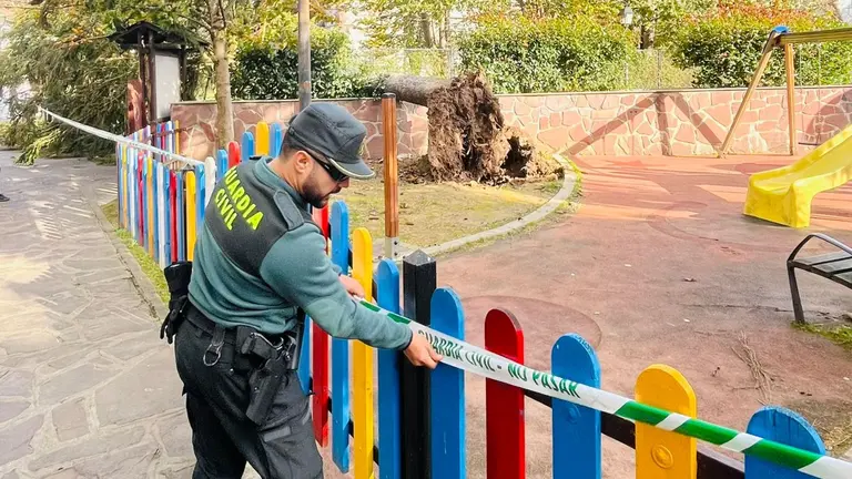 Imagen del &aacute;rbol ca&iacute;do debido al viento en un parque infantil de Elizondo. GUARDIA CIVIL