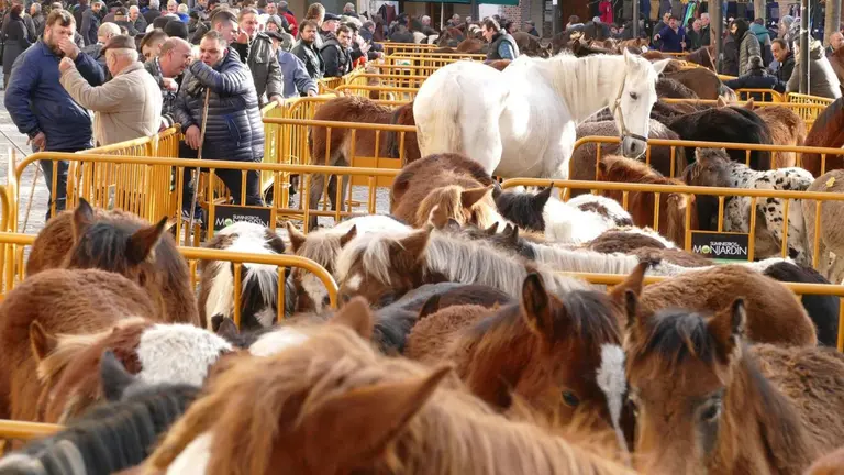 Imagen de archivo de una edición anterior de las Ferias de San Andrés en Estella. CEDIDA