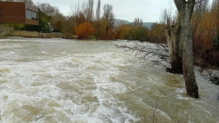 El río Arga a su paso por Pamplona. POLICÍA MUNICIPAL
