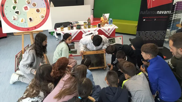 Más de 1.300 escolares participan en cerca de 80 actividades de Reyno Gourmet en este año. CEDIDA