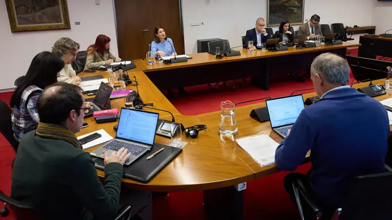 Moción del PP por la que se insta al Gobierno de Navarra a iniciar los trámites para cambiar el nombre del Premio 'Príncipe de Viana' por el de 'Princesa de Viana' y a invitar a la Familia Real a su entrega. IÑIGO ALZUGARAY