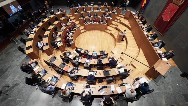 Salón de Plenos del Parlamento de Navarra. EDUARDO SANZ/EUROPA PRESS