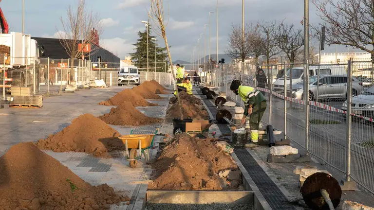 Operarios trabajando en la plantación de los árboles en Buztintxuri. AYUNTAMIENTO DE PAMPLONA