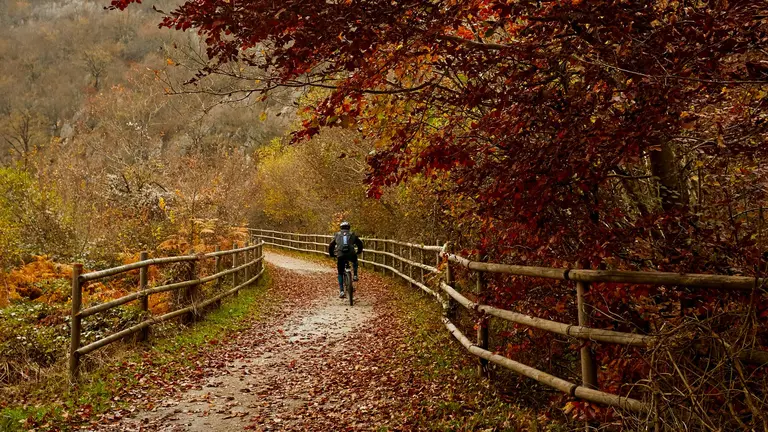 Imagen de archivo de un ciclista circulando por la Vía Verde del Plazaola. JAVIER CAMPOS / TURISMO DE NAVARRA / ARCHIVO