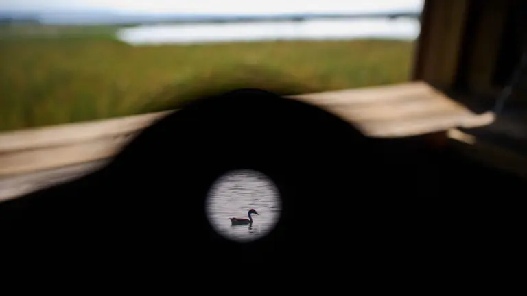 Imagen de la Laguna Dos Reinos en Figarol. GOBIERNO DE NAVARRA