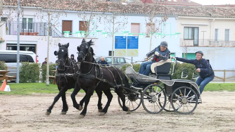 Imagen de archivo de una edición anterior del Concurso de Enganche de las Ferias de Invierno de Tafalla. CEDIDA