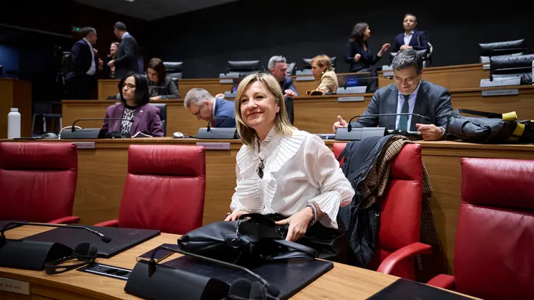 La consejera de Interior Amparo López minutos antes de comenzar el pleno del Parlamento. PABLO LASAOSA