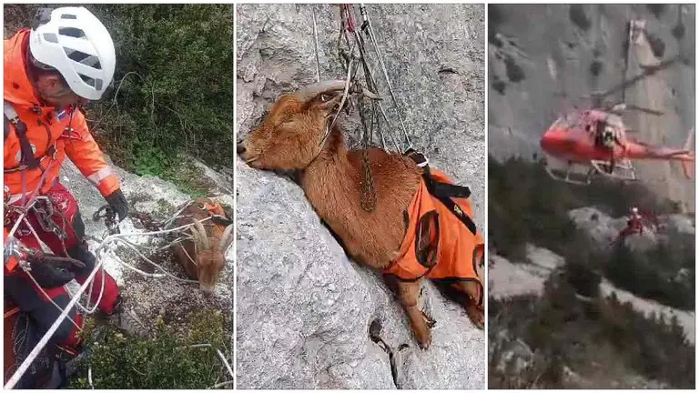 Tres fotogramas del vídeo subido por los Bomberos. BOMBEROS DE NAVARRA