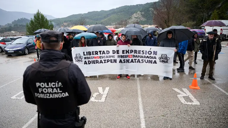 Juicio a cinco integrantes del grupo Raimundo el Canastero acusados de delitos de amenazas, injurias y contra la integridad moral de la alcaldesa de Estella Marta Ruiz de Alda (UPN). PABLO LASAOSA