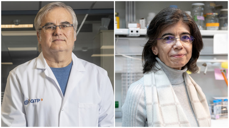 Los investigadores Dolores Pe&igrave;rez-Sala y Antoni Matilla. CEDIDA