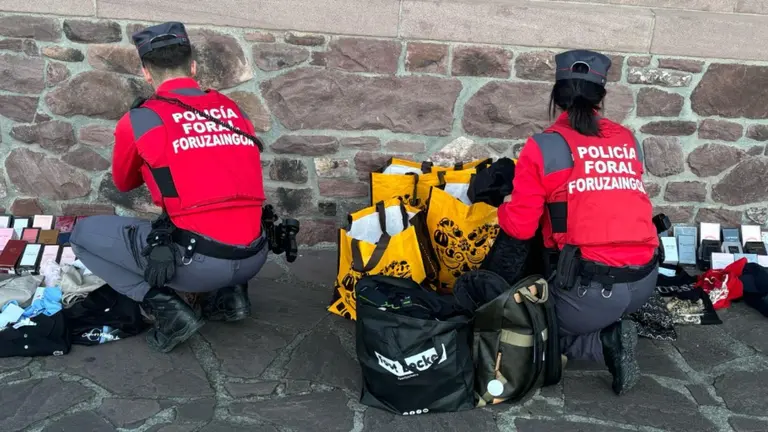 Agentes de la Polic&iacute;a Foral revisan el bot&iacute;n decomisado a los ladrones en Dantxarinea. POLIC&Iacute;A  FORAL