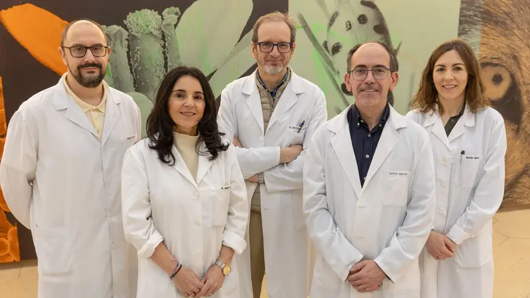 Los investigadores de la Universidad de Navarra, de izquierda a derecha, &Aacute;ngel Chaves, Ana Amezcoa, Arturo Ari&ntilde;o, David Galicia y Mar&iacute;a Imas.  MANUEL CASTELLS / UNIVERSIDAD DE NAVARRA