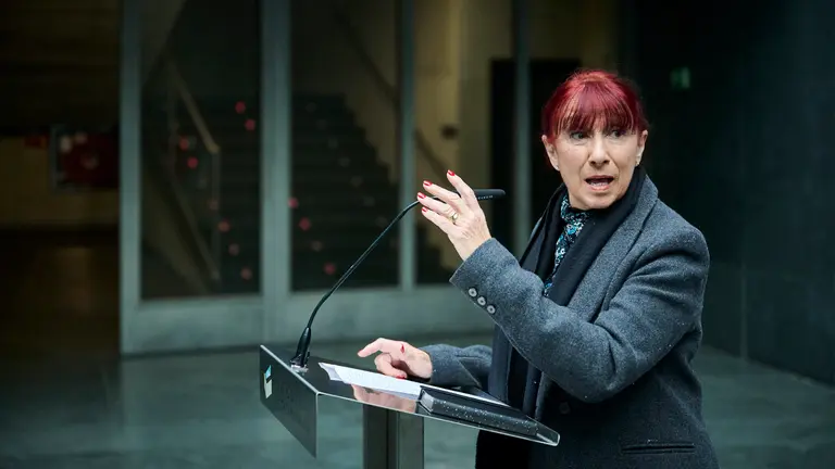 La parlamentaria no adscrita Maite Nosti en el Parlamento de Navarra. PABLO LASAOSA