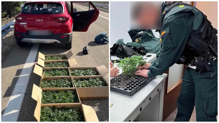 El coche en el arc&eacute;n con la marihuana en el suelo y los agentes contando las plantas en las dependencias policiales. GUARDIA CIVIL DE NAVARRA