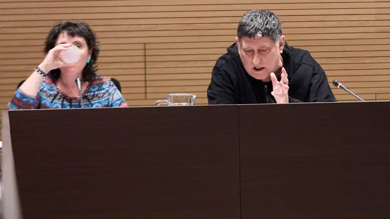 Pleno del Ayuntamiento de Berriozar.