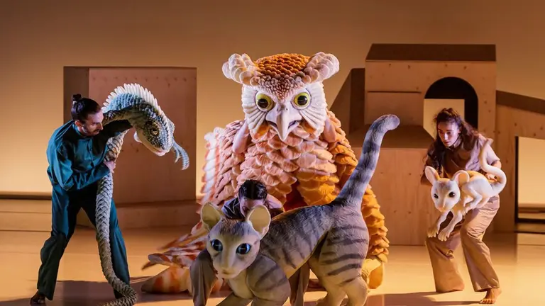 La gata que quer&iacute;a cambiar la historia. CEDIDA