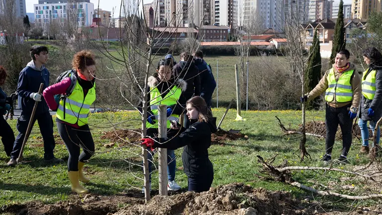 La campaña de plantación de arbolado concluye con 1.373 árboles plantados en Pamplona. AYUNTAMIENTO DE PAMPLONA