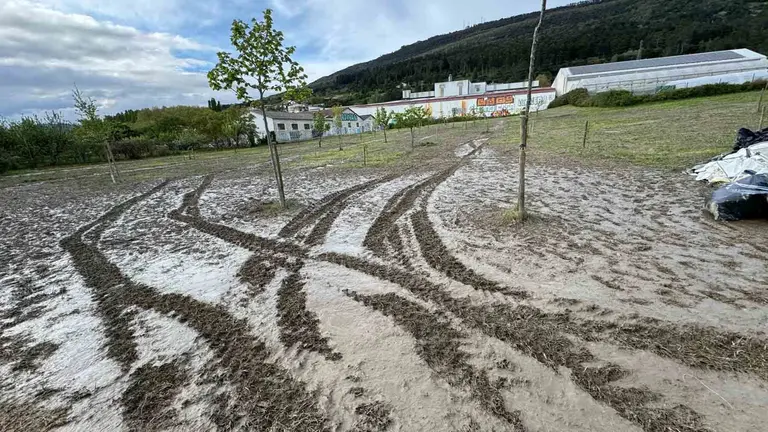 Lamentable estado en el que ha quedado la zona ajardinada donde acamparon los proetarras de Ernai en Berriozar.