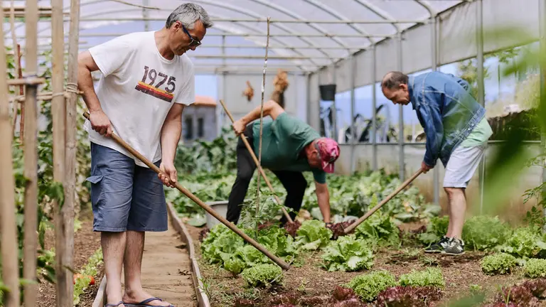 Imagen de archivo de un proyecto seleccionado en una convocatoria anterior. Fundación la Caixa