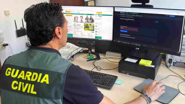 Un agente del Equipo de Delitos Económicos de la Guardia Civil investigando delante de un ordenador. GUARDIA CIVIL