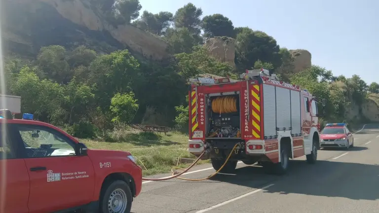 Incendio de pinar en monte Enfrente en Falces. BOMBEROS DE NAVARRA