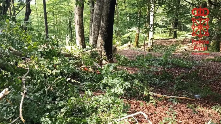 Accidente laboral mortal en Navarra. POLIC&Iacute;A FORAL