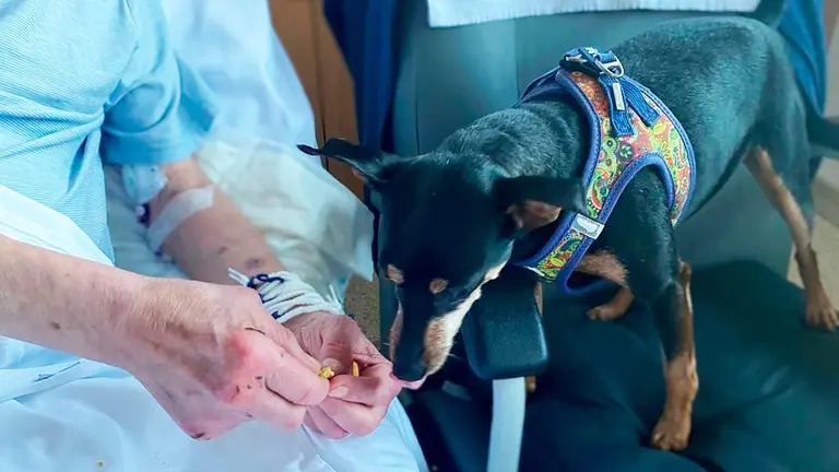 Lucas visita a Pablo, su due&ntilde;o, ingresado en el Hospital San Juan de Dios de Pamplona. CEDIDA