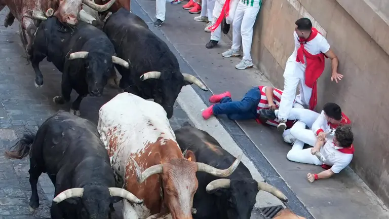 Séptimo encierro de San Fermín 2025 el día 13 de julio con toros de La Palmosilla en Santo Domingo. EFE - AINHOA TEJERINA (1)