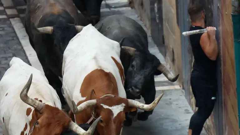 Octavo encierro de San Fermín 2025 el día 14 de julio con toros de Miura en Estafeta. EFE - JESÚS DIGES